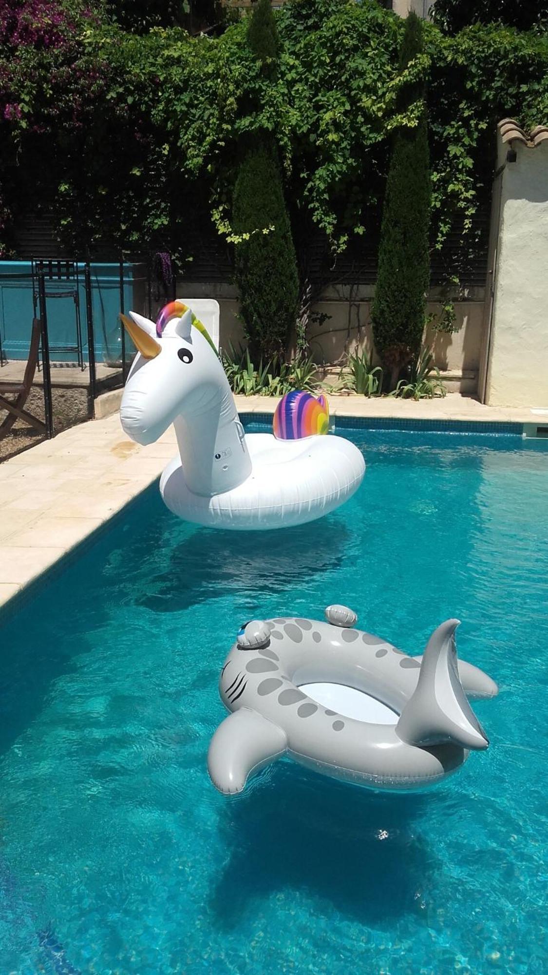 Maison Pelissier Bed And Breakfast With Sweeming Pool Cuxac-d'Aude Екстер'єр фото